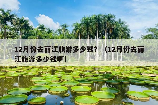 12月份去丽江旅游多少钱？（12月份去丽江旅游多少钱啊）