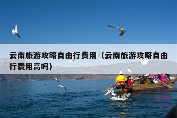 云南旅游攻略自由行费用（云南旅游攻略自由行费用高吗）