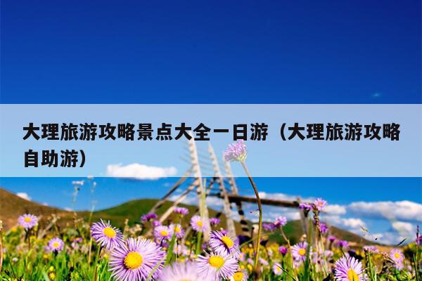 大理旅游攻略景点大全一日游（大理旅游攻略自助游）