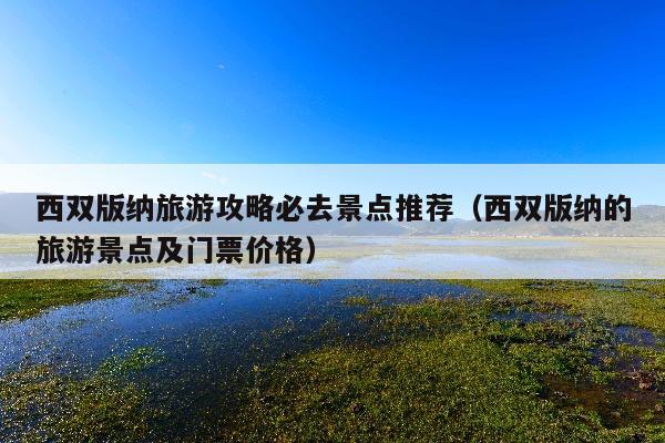 西双版纳旅游攻略必去景点推荐（西双版纳的旅游景点及门票价格）