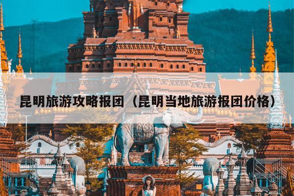 昆明旅游攻略报团（昆明当地旅游报团价格）