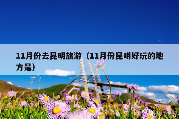 11月份去昆明旅游（11月份昆明好玩的地方是）