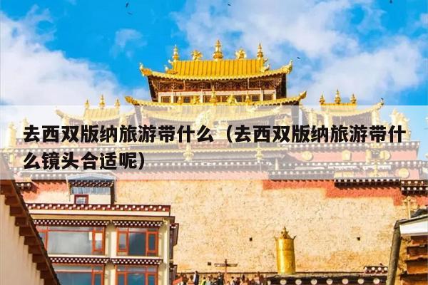 去西双版纳旅游带什么（去西双版纳旅游带什么镜头合适呢）