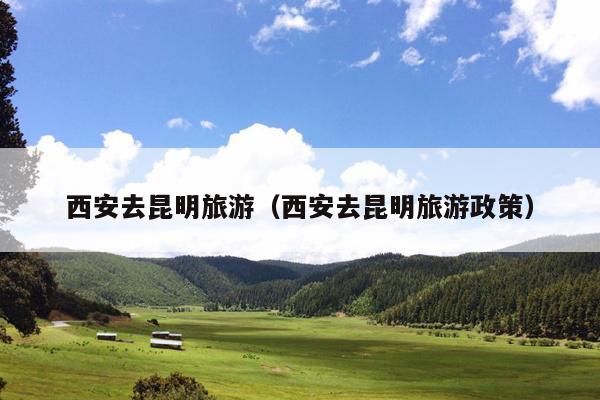 西安去昆明旅游（西安去昆明旅游政策）