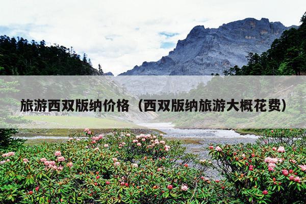 旅游西双版纳价格（西双版纳旅游大概花费）