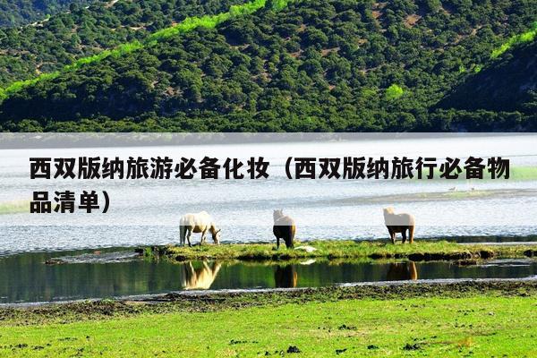 西双版纳旅游必备化妆（西双版纳旅行必备物品清单）