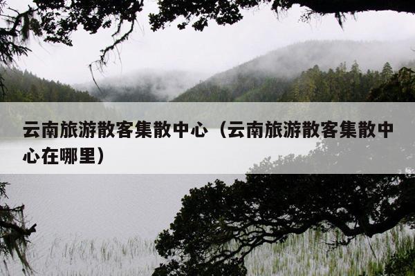 云南旅游散客集散中心（云南旅游散客集散中心在哪里）