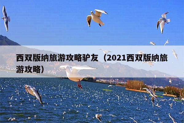 西双版纳旅游攻略驴友（2021西双版纳旅游攻略）