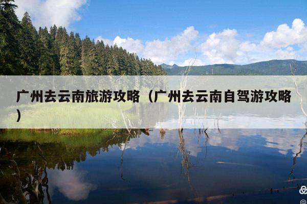 广州去云南旅游攻略（广州去云南自驾游攻略）