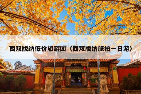 西双版纳低价旅游团（西双版纳旅拍一日游）