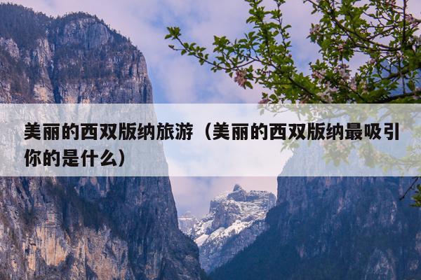 美丽的西双版纳旅游（美丽的西双版纳最吸引你的是什么）