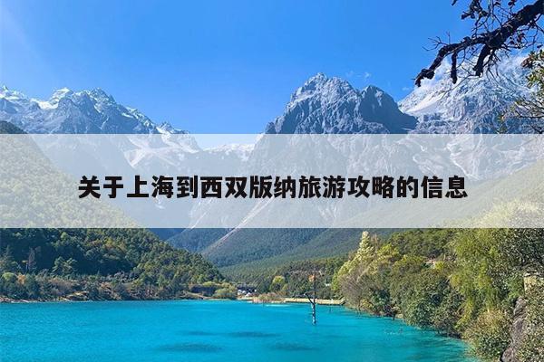 关于上海到西双版纳旅游攻略的信息