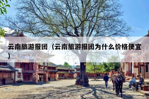 云南旅游报团（云南旅游报团为什么价格便宜）