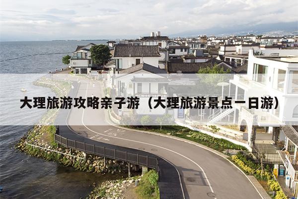 大理旅游攻略亲子游（大理旅游景点一日游）