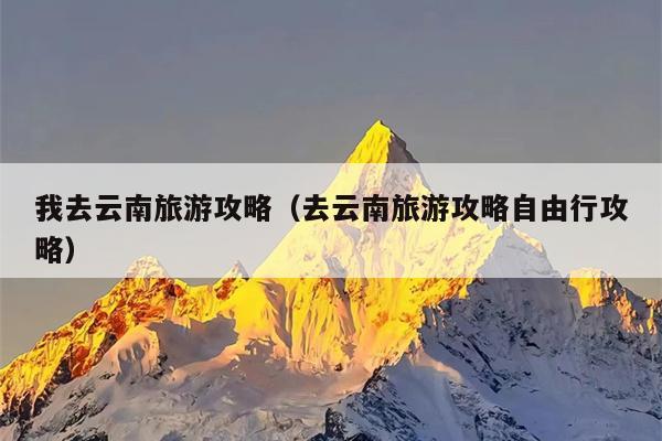 我去云南旅游攻略（去云南旅游攻略自由行攻略）