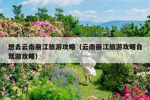 想去云南丽江旅游攻略（云南丽江旅游攻略自驾游攻略）