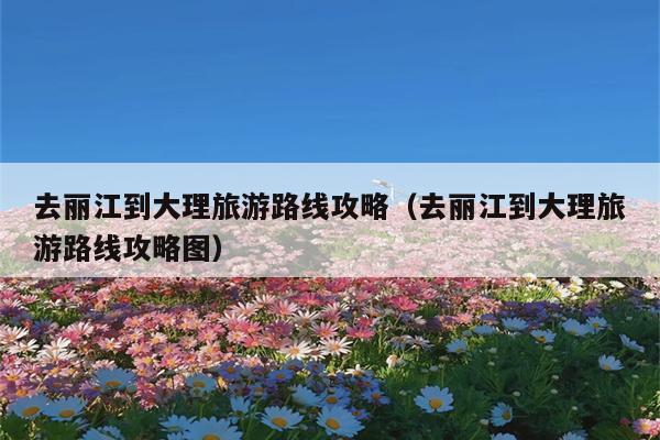 去丽江到大理旅游路线攻略（去丽江到大理旅游路线攻略图）