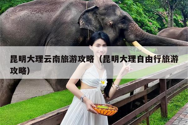 昆明大理云南旅游攻略（昆明大理自由行旅游攻略）