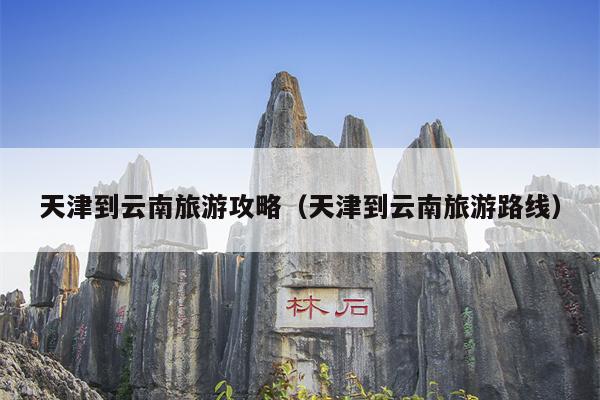 天津到云南旅游攻略（天津到云南旅游路线）