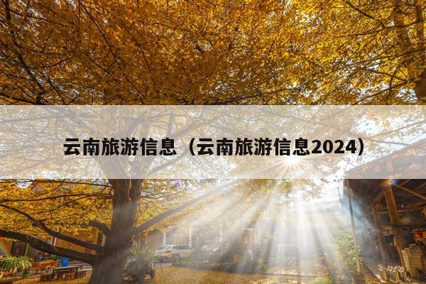 云南旅游信息（云南旅游信息2024）