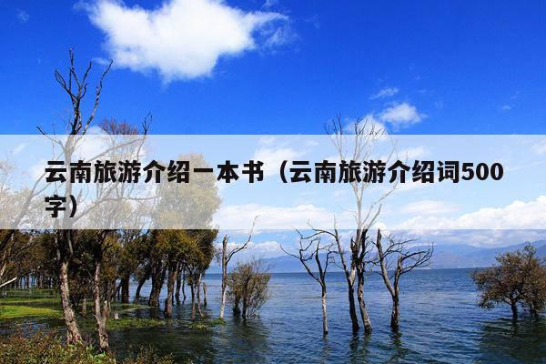 云南旅游介绍一本书（云南旅游介绍词500字）