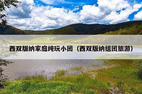 西双版纳家庭纯玩小团（西双版纳组团旅游）